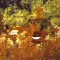 Rameauite, Urancalcarite, Uranophane