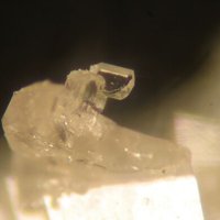 Iimoriite-(Y)