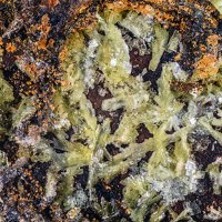 Sabugalite
