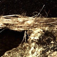 Carlosturanite, Chrysotile