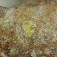 Ranunculite, Apatite