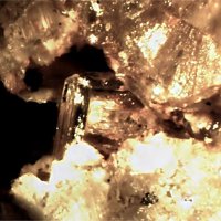 Samuelsonite