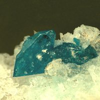 Salesite