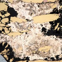 Mackinawite, Chalcopyrite, Pyrrhotite