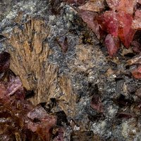 Ecdemite, Rhodonite