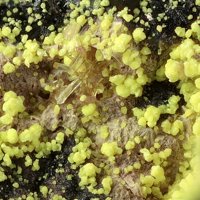 Ianthinite, Parauranophane, Uranopilite