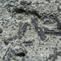 Fayalite