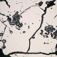 Cattierite, Molybdenite, Muscovite