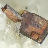 Aeschynite-(Y)