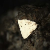 Nabaphite