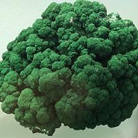 Bayldonite