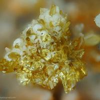 Badalovite