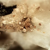 Dalyite