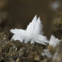 Lanthanite-(Ce)