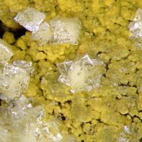 Sabugalite, Carnotite