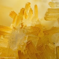 Pachnolite, Thomsenolite, Hydrokenoralstonite