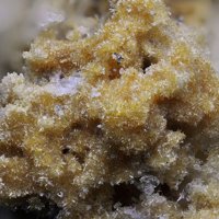 Magnanelliite