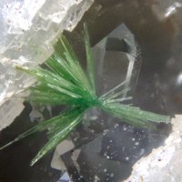 Jamborite