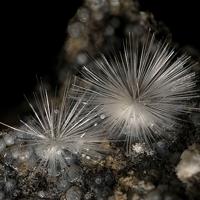 Canavesite