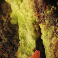 Cadwaladerite