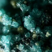 Takovite