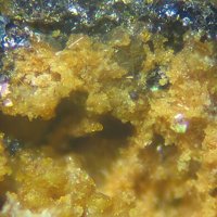 Jahnsite-(CaMnFe)