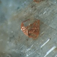 Dalyite