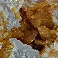 Caryopilite