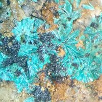 Tangdanite