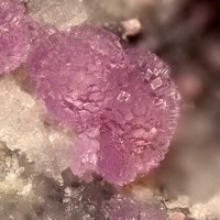 Sainfeldite
