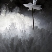 Ice