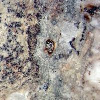 Barringerite, Schreibersite