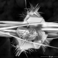 Cadmoindite, Bismuthinite