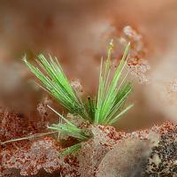 Agardite-(La)