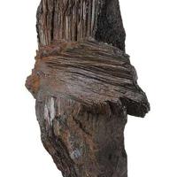 Bannisterite