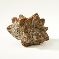 Calcite, Ikaite