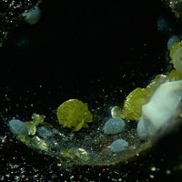 Ecdemite, Calcite