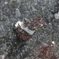 Galkhaite