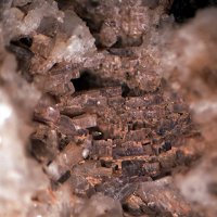 Carlgieseckeite-(Nd)