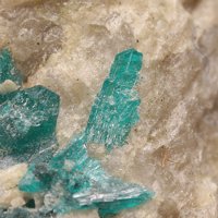 Salesite