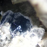 Farneseite
