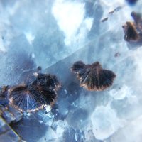 Macfallite, Calcite