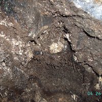 Caryochroite, Elpidite