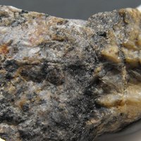 Iimoriite-(Y)