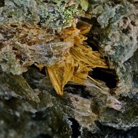 Quintinite