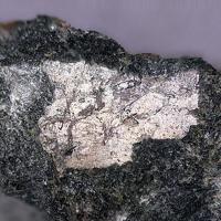 Calciomurmanite