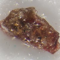 Labyrinthite