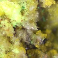Carnotite, Bayleyite, Chalcopyrite