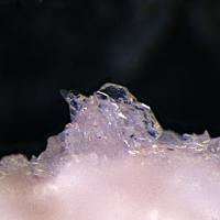 Camaronesite