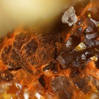 Daliranite